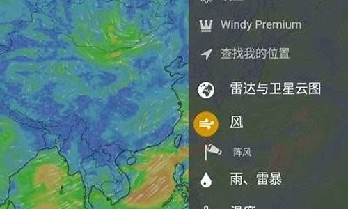 windy天气预报怎么看不了_windy天气预报怎么看