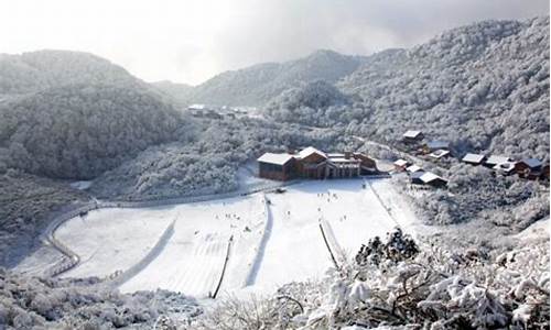 金佛山天气预报下雪吗_金佛山下雪了吗20