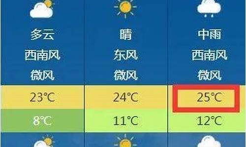 阜阳天气预报40天最新_阜阳天气预报40天