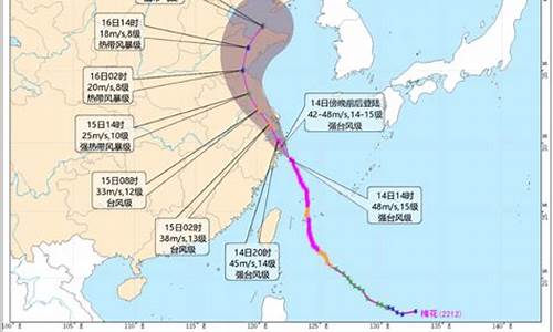 台风路径浙江水利网台风实时路径图_台风路径浙江