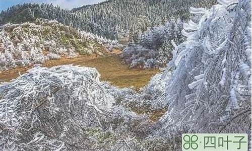 武隆天气预报仙女山_重庆市武隆县天气仙女山