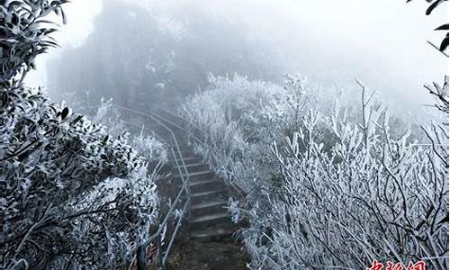 金子山天气预报15天查询_金子山天气