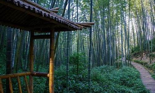 蜀南竹海天气预报15天天气_蜀南竹海天气预报